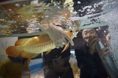 怎么判斷紅龍魚缺氧（紅龍魚缺氧會出現以下癥狀）