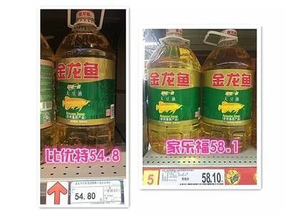 九三和金龍魚哪個好，九三和金龍魚各有優勢