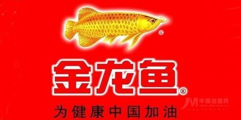 金龍魚資料簡介：金龍魚的市場價格，金龍魚的繁殖難點解析 金龍魚資料簡介：金龍魚的市場價格，金龍魚的繁殖難點解析 龍魚百科 第2張