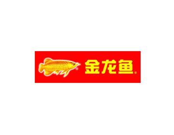 金龍魚資料簡介：金龍魚的市場價格，金龍魚的繁殖難點解析 金龍魚資料簡介：金龍魚的市場價格，金龍魚的繁殖難點解析 龍魚百科 第3張