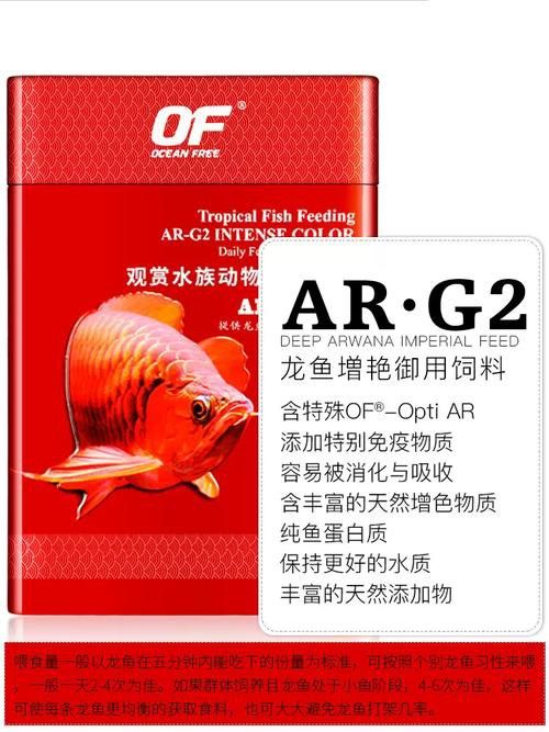 紅色銀龍魚價格多少錢一只圖片