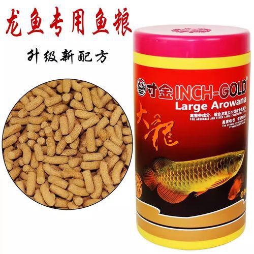 紅色銀龍魚價格多少錢一只圖片