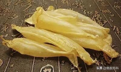 金龍魚膠是什么魚的：雙須金龍魚膠品種之金龍魚膠品種之金龍魚膠