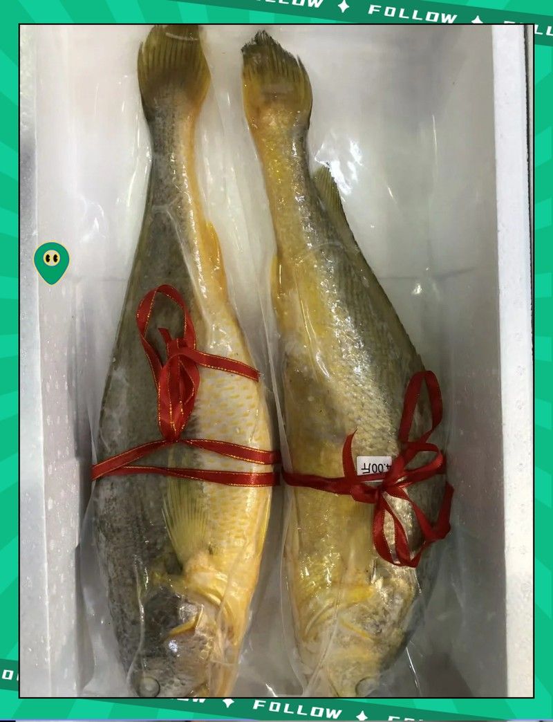 黃花魚跟金龍魚一樣嗎