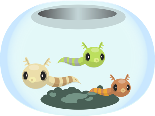 紅龍魚品種,有哪些品種（紅龍魚品種,有哪些品種圖片）