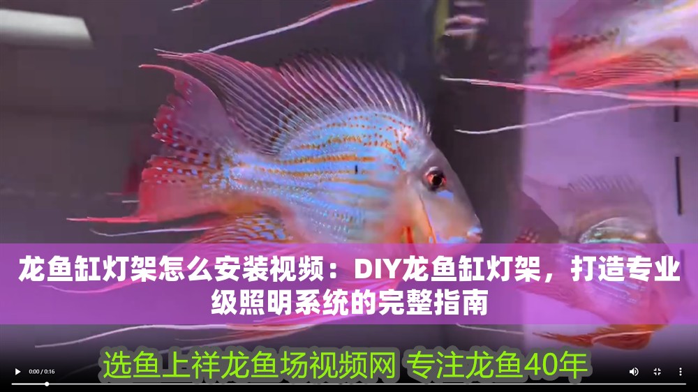 龍魚缸燈架怎么安裝視頻：DIY龍魚缸燈架，打造專業級照明系統的完整指南