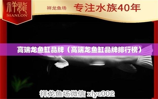高檔龍魚專用缸推薦品牌排行榜:如何挑選適合高檔龍魚的魚缸? 龍魚百科 第2張 高檔龍魚專用缸推薦品牌排行榜:如何挑選適合高檔龍魚的魚缸? 高檔龍魚專用缸推薦品牌排行榜:如何挑選適合高檔龍魚的魚缸? 龍魚百科 第2張