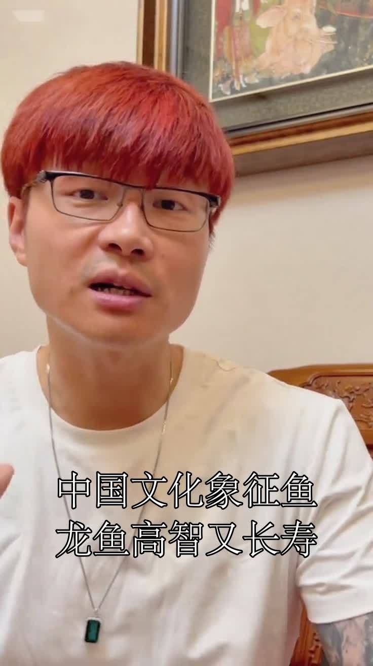 云南龍魚的特點介紹視頻播放