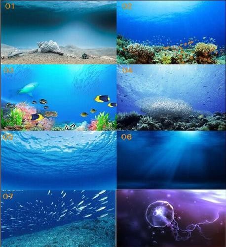 龍魚缸背景圖選擇圖片大全