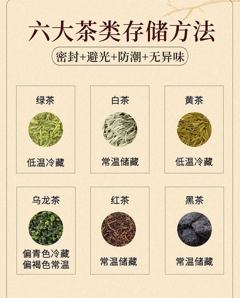 哪種保存方法效果最好？