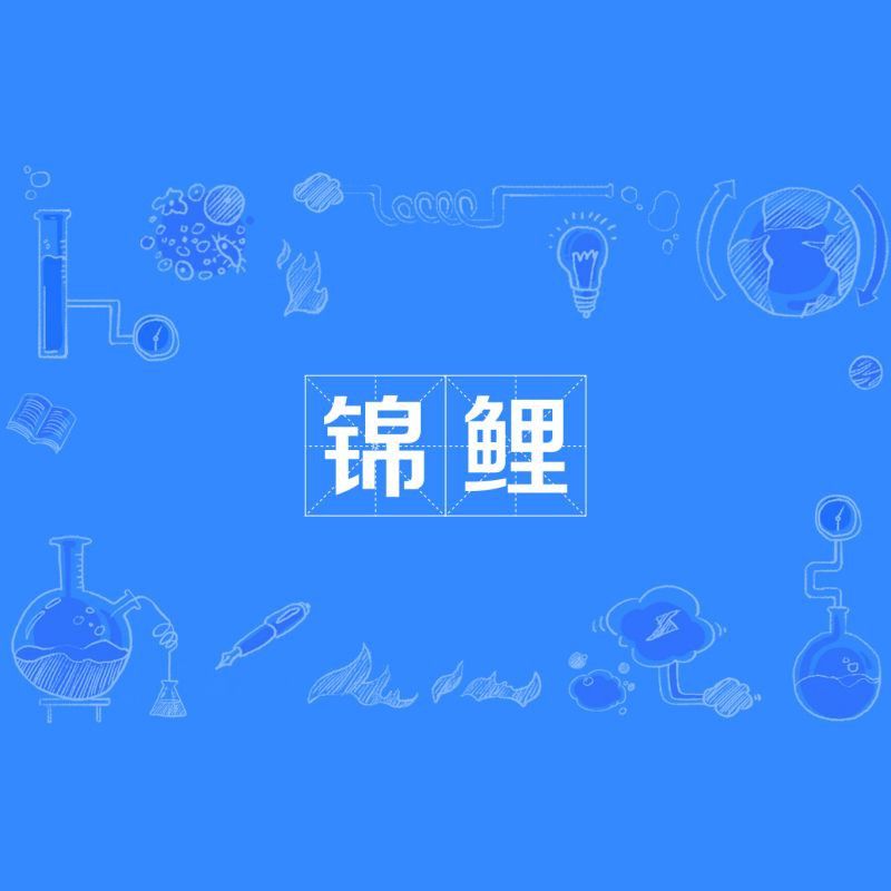 錦鯉到底是什么意思
