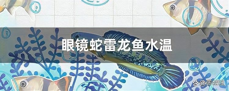 雷龍魚適合水溫多少度過冬 雷龍魚適合水溫多少度過冬 龍魚百科 第4張