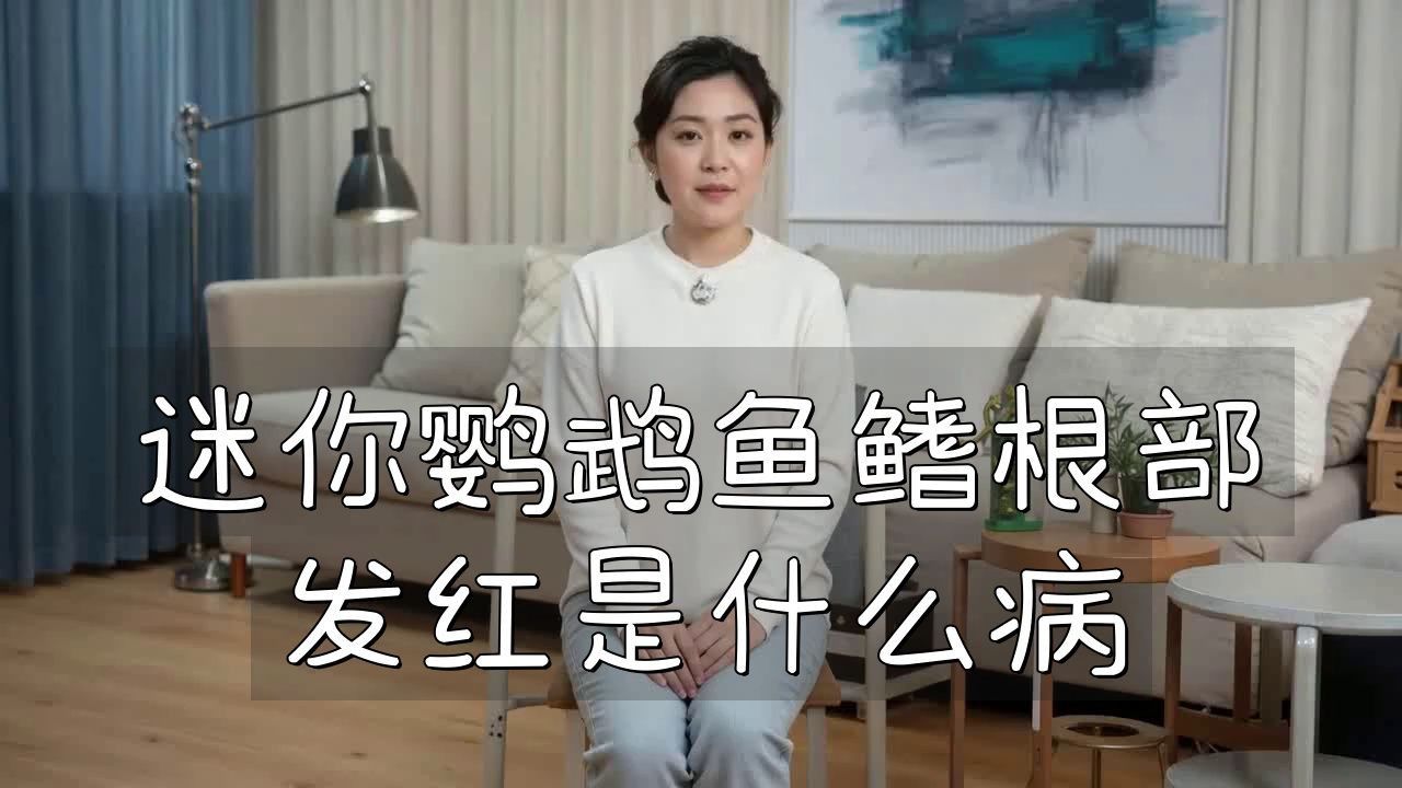 如何判斷魚鰭根部紅腫充血的嚴重程度？ 如何判斷魚鰭根部紅腫充血的嚴重程度？ 龍魚百科 第4張