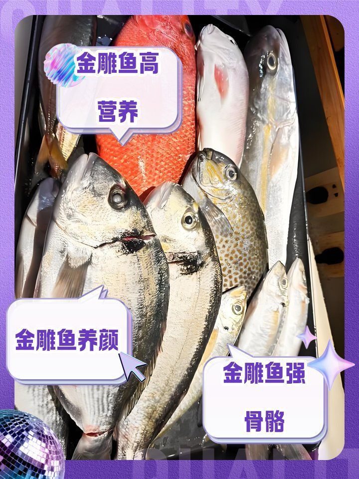 金雕魚的功效與作用 金雕魚的功效與作用 龍魚百科 第1張
