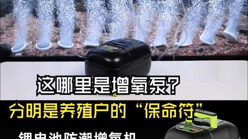 老魚匠 官方店