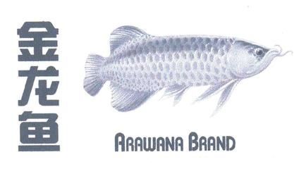 金龍魚怎么涂色：金龍魚涂色方法