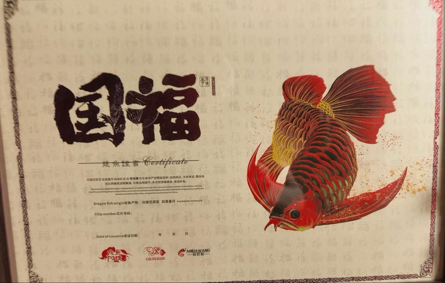 福龍魚(yú)的真實(shí)價(jià)格是多少？