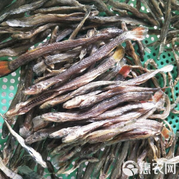 金鱒魚多少錢一斤