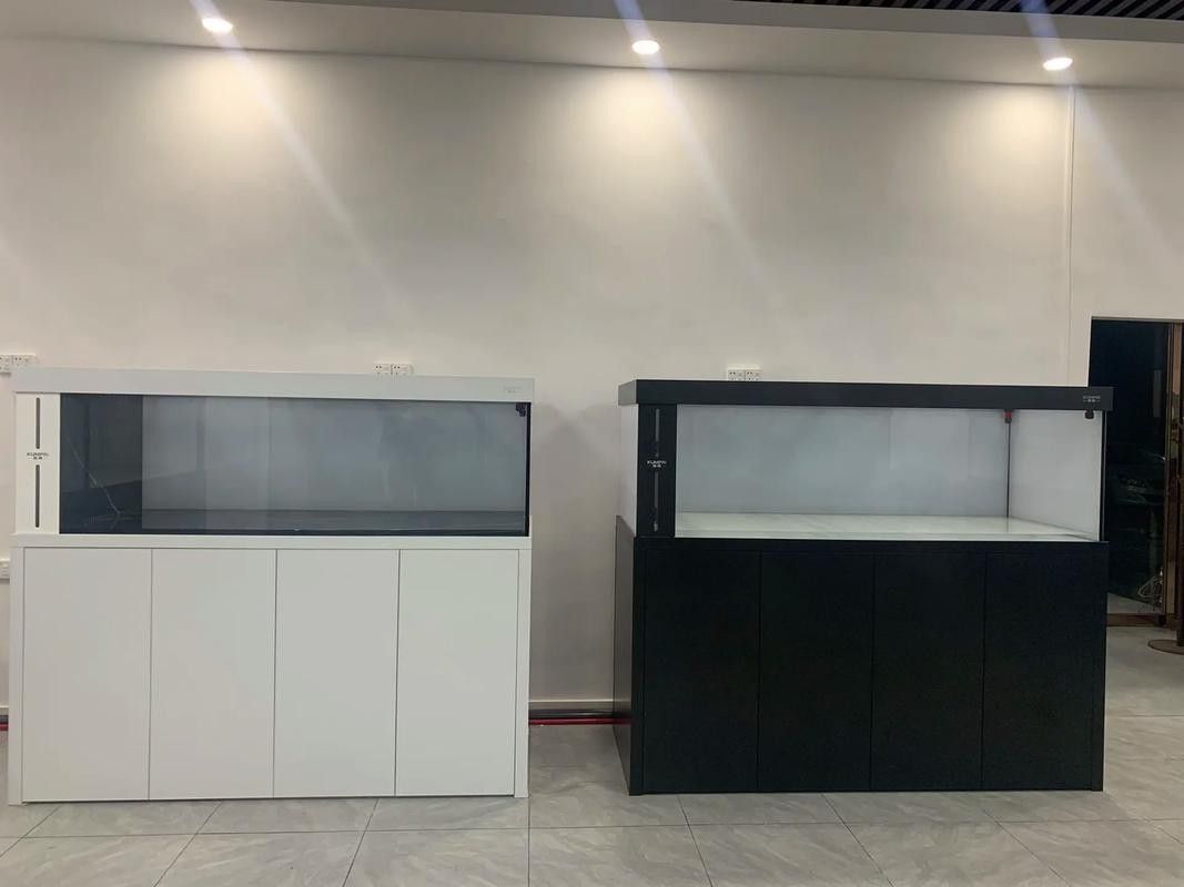 自制龍魚缸圖片大全集