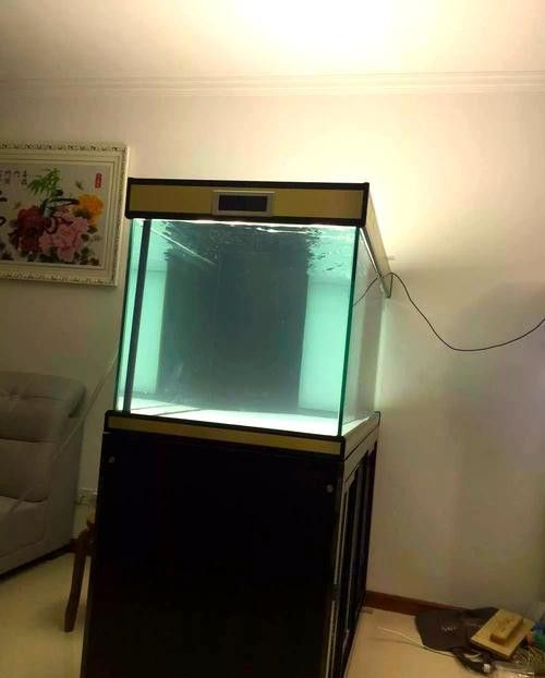 自制龍魚缸圖片大全集