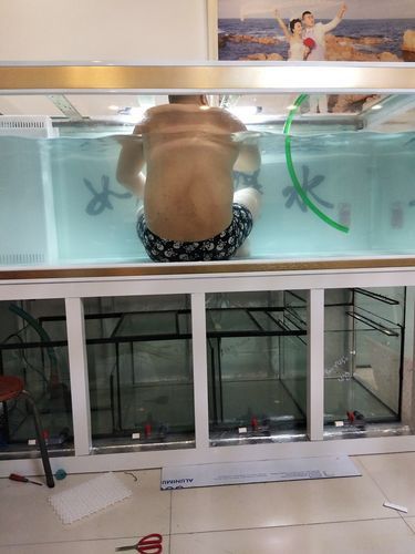 自制龍魚缸圖片大全集