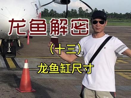 自制龍魚缸圖片大全集