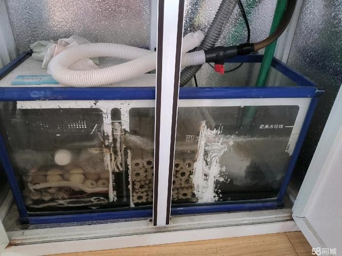 自制龍魚缸圖片大全集