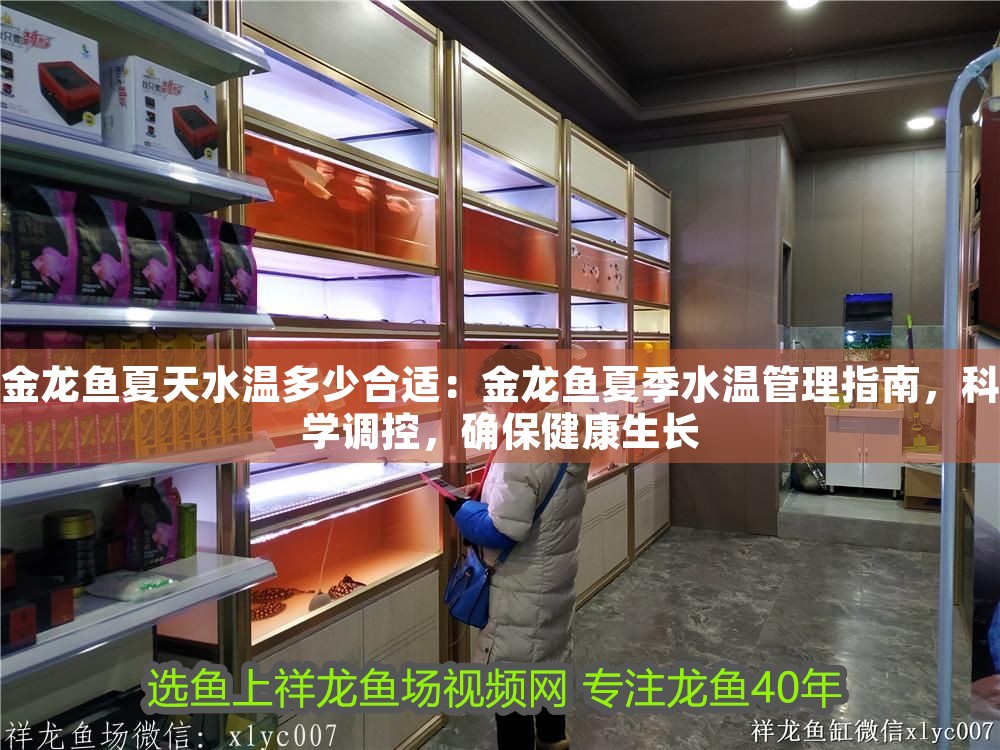 金龍魚夏天水溫多少合適：金龍魚夏季水溫管理指南，科學(xué)調(diào)控，確保健康生長(zhǎng)