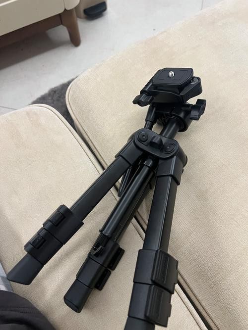 有哪些手機配件可以提升拍攝效果? 龍魚百科 第11張 有哪些手機配件可以提升拍攝效果? 有哪些手機配件可以提升拍攝效果? 龍魚百科 第11張