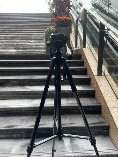 有哪些手機配件可以提升拍攝效果? 龍魚百科 第12張 有哪些手機配件可以提升拍攝效果? 有哪些手機配件可以提升拍攝效果? 龍魚百科 第12張