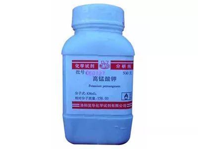 怎樣治療龍魚掉眼屎