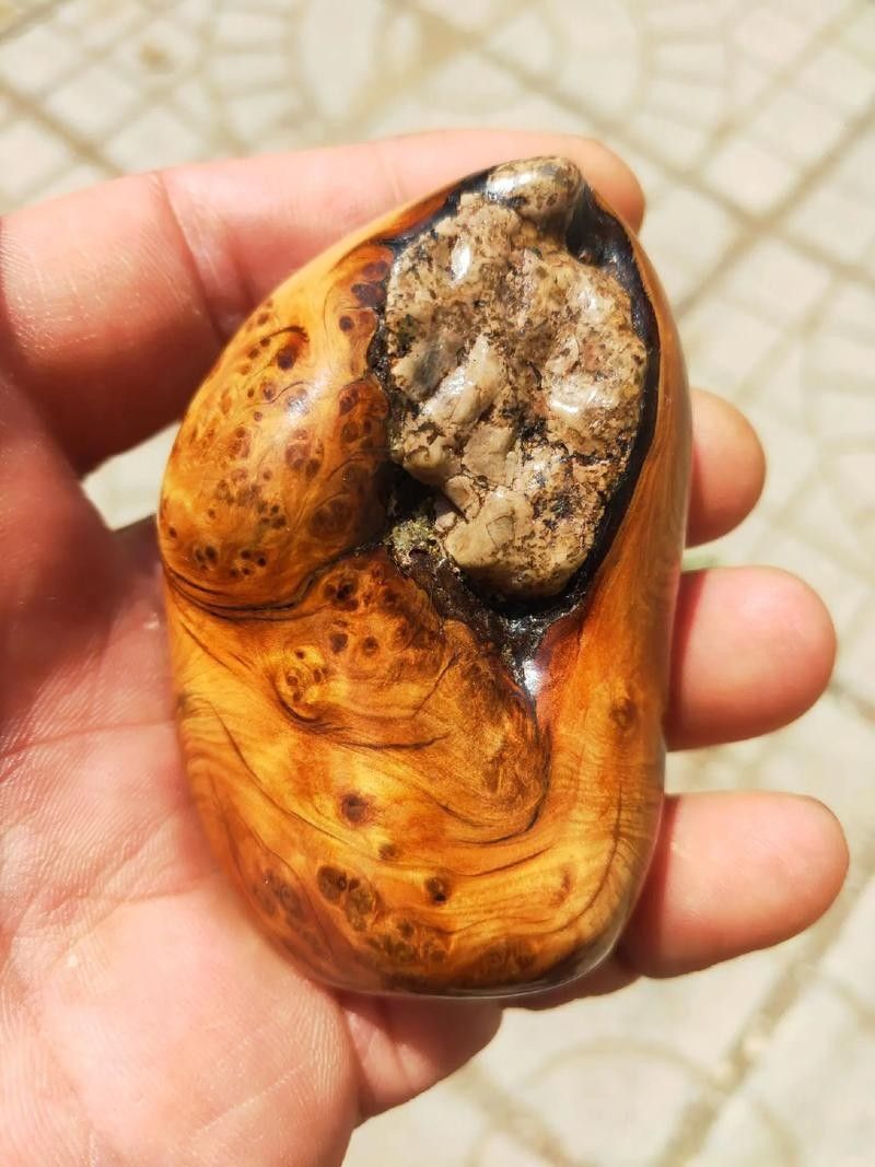 龍頭魚擺件多久清潔一次