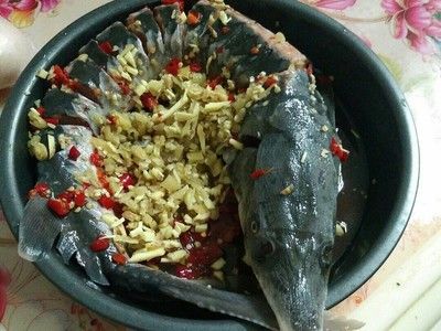 尋龍魚一般蒸多久（清蒸鱘龍魚的基本做法如下：清蒸鱘龍魚的基本做法）