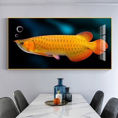 手機壁紙龍魚圖片大全可愛