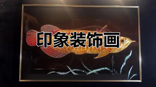 手機壁紙龍魚圖片大全可愛