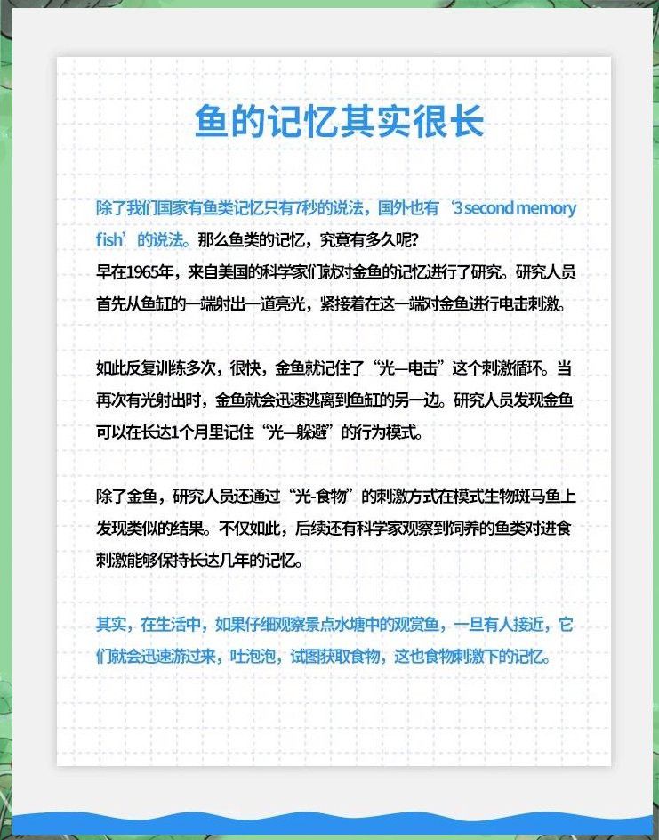 紅龍魚能記住多久的信息？ 紅龍魚能記住多久的信息？ 龍魚百科 第3張