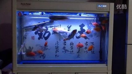 紅龍魚(yú)的鱗片掉落后可以自行恢復(fù)嗎？：紅龍魚(yú)的鱗片如果掉落，通常情況下可以自行恢復(fù)嗎？