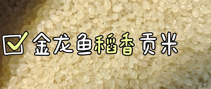 紅龍魚喂泥鰍要怎樣處理（紅龍魚喂泥鰍要怎樣處理好）