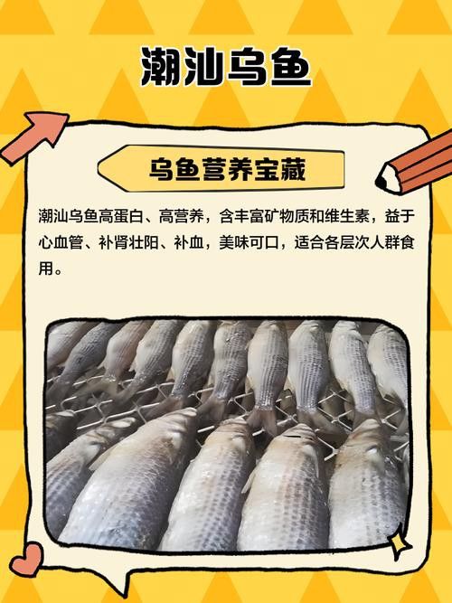 烏龍魚是什么魚圖片大全集