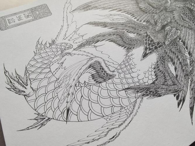 銀龍魚(yú)圖片大全素描圖簡(jiǎn)單