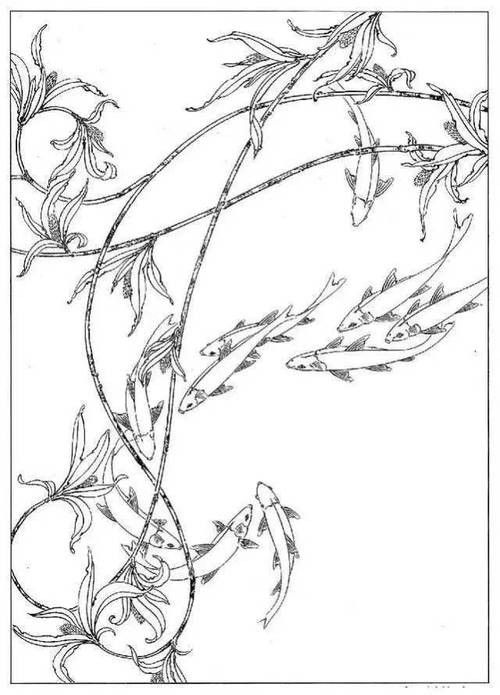 銀龍魚(yú)圖片大全素描圖簡(jiǎn)單