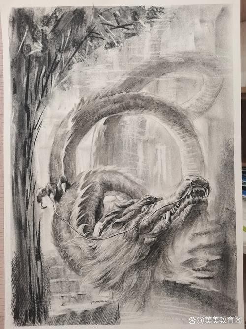銀龍魚(yú)圖片大全素描圖簡(jiǎn)單