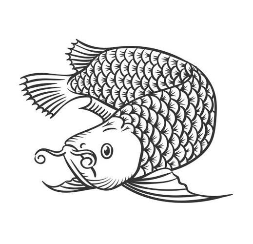 銀龍魚(yú)圖片大全素描圖簡(jiǎn)單