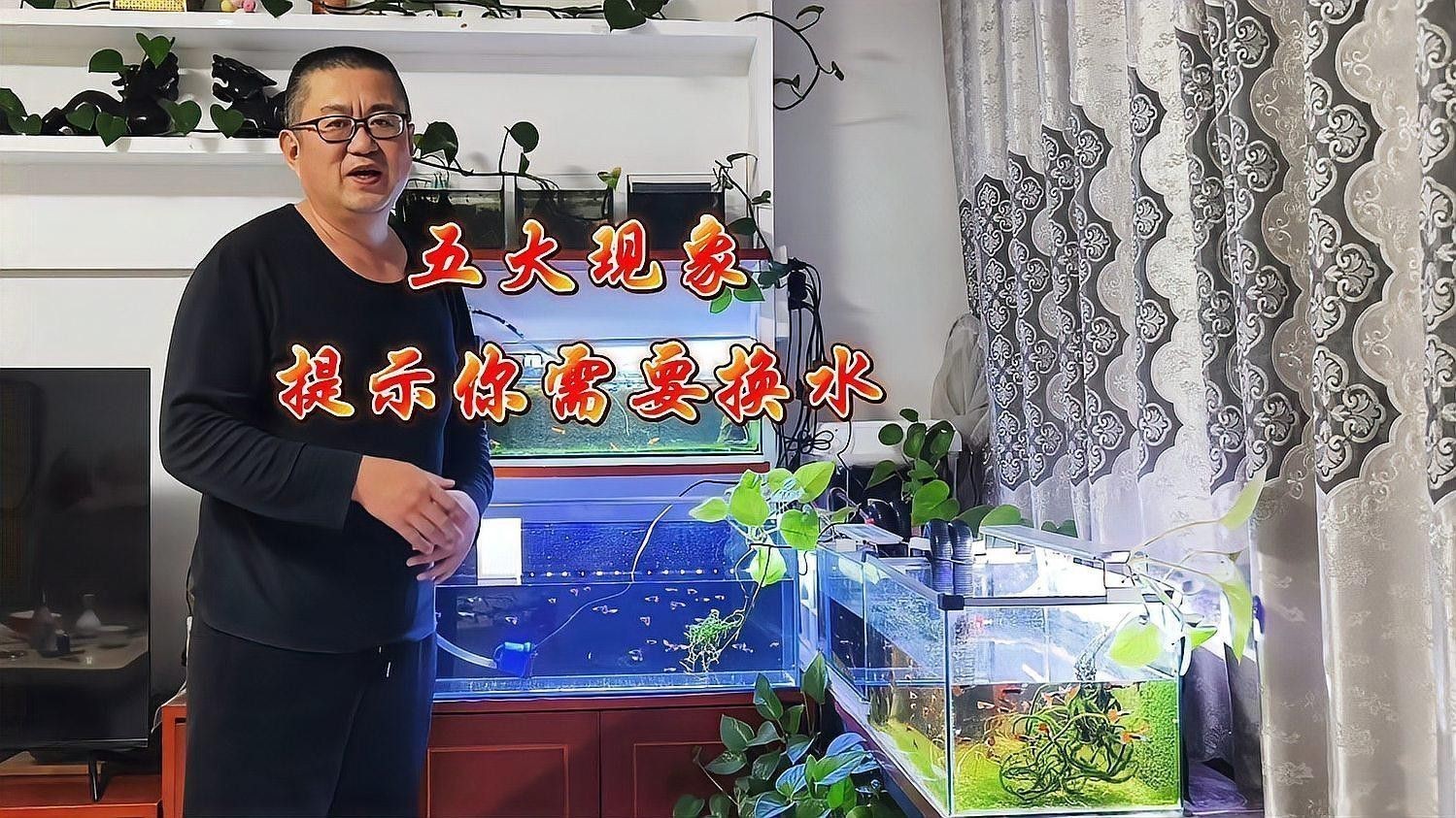 如何判斷龍魚缸是否需要換水？ 如何判斷龍魚缸是否需要換水？ 龍魚百科 第3張
