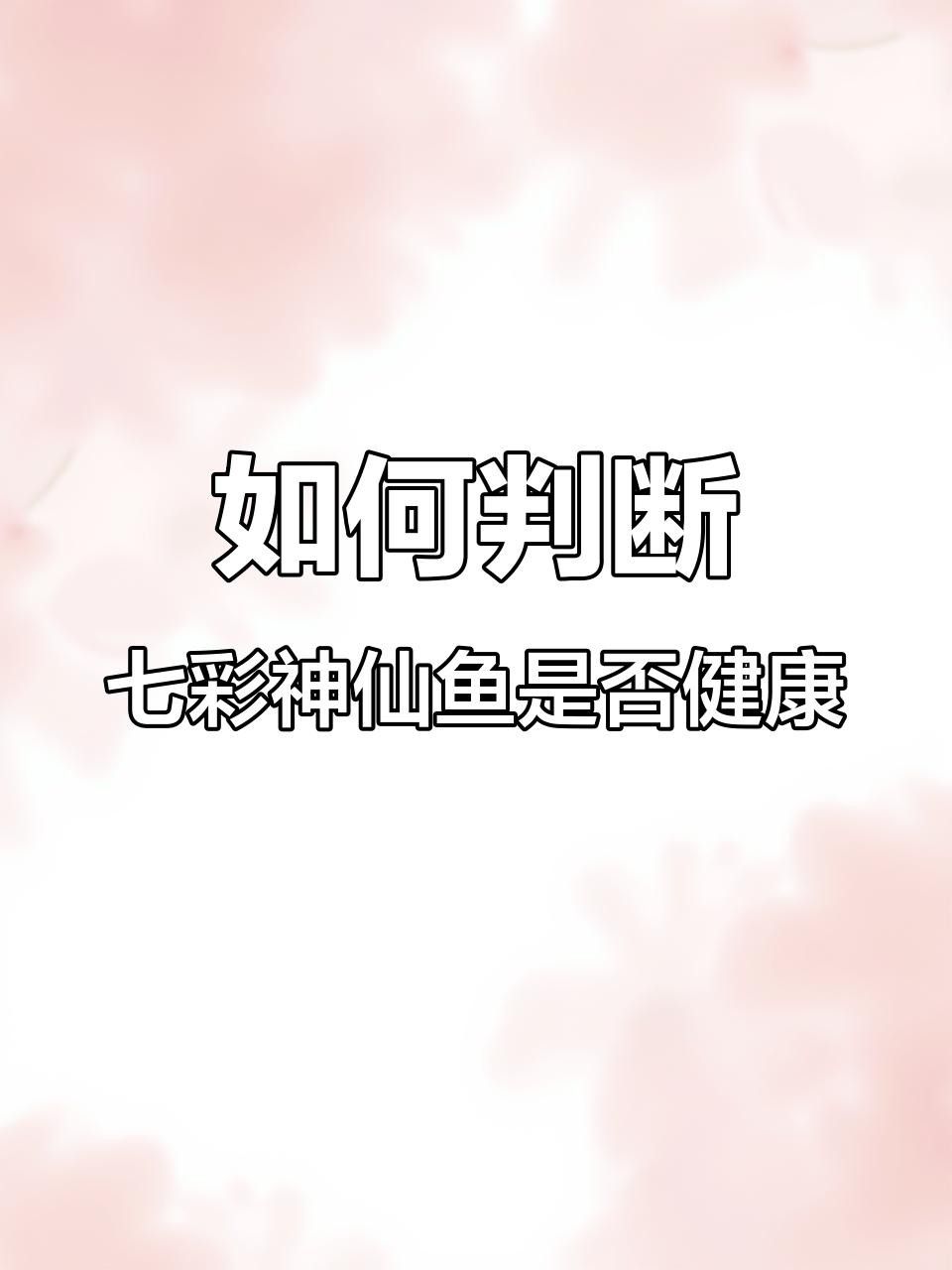 如何判斷七彩龍魚是否健康？ 如何判斷七彩龍魚是否健康？ 龍魚百科 第1張