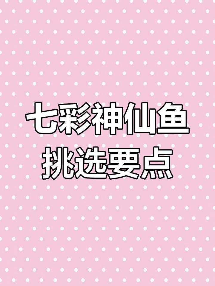 如何判斷七彩龍魚是否健康？ 如何判斷七彩龍魚是否健康？ 龍魚百科 第6張
