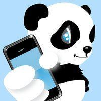金魚貓會認第二個主人嗎