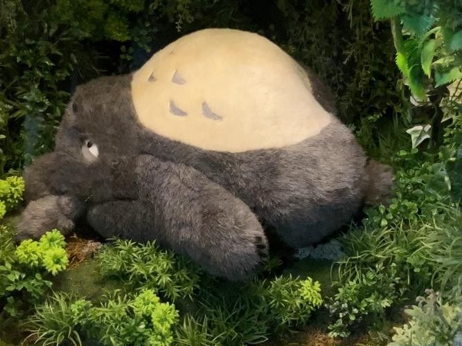 龍貓晚上叫了怎么辦？