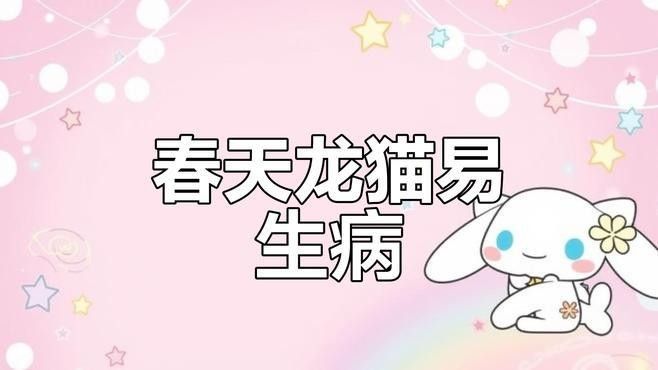 龍貓晚上叫了怎么辦？