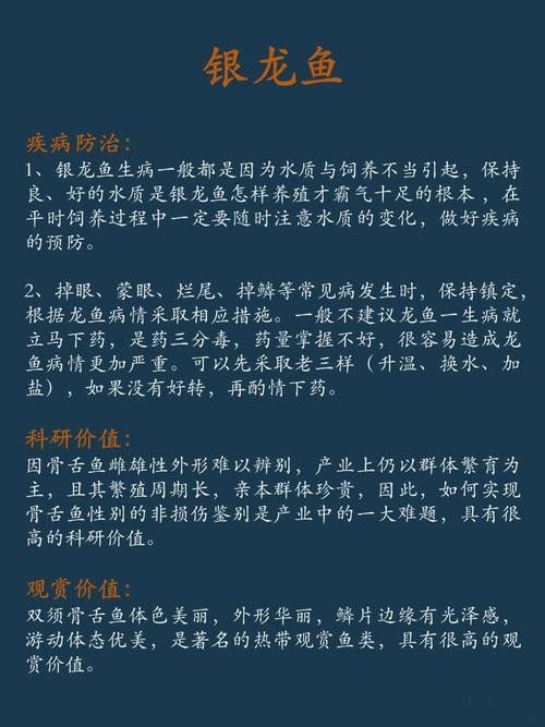 銀龍魚飼養注意事項有哪些圖片 銀龍魚飼養注意事項有哪些圖片 龍魚百科 第23張